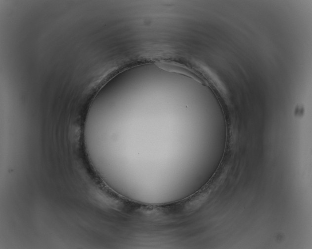 X0000091970113200710041057