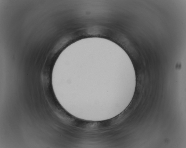 X0000091970116200710041057