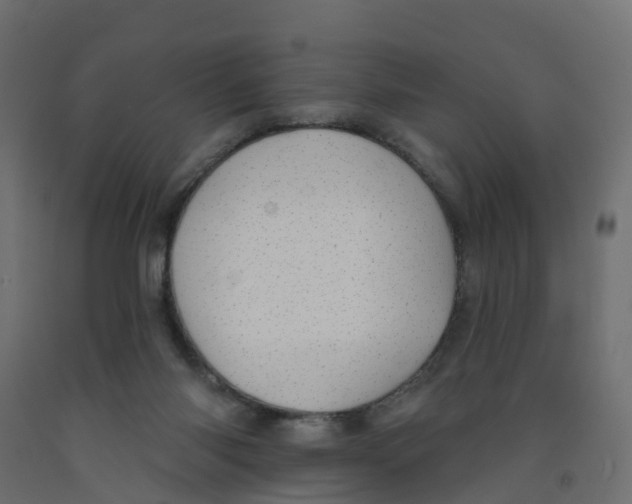 X0000091970118200710041057