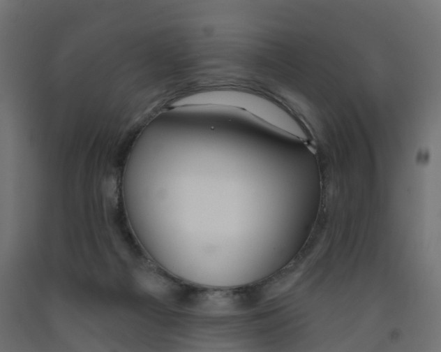 X0000091970121200710041057