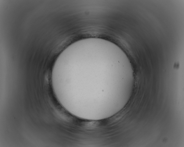 X0000091970122200710041057