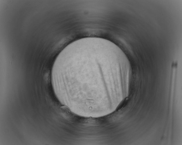 X0000091970123200710041057