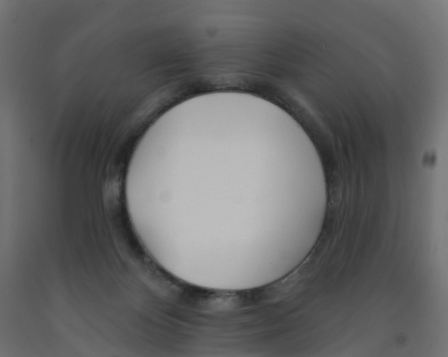 X0000091970124200710041057