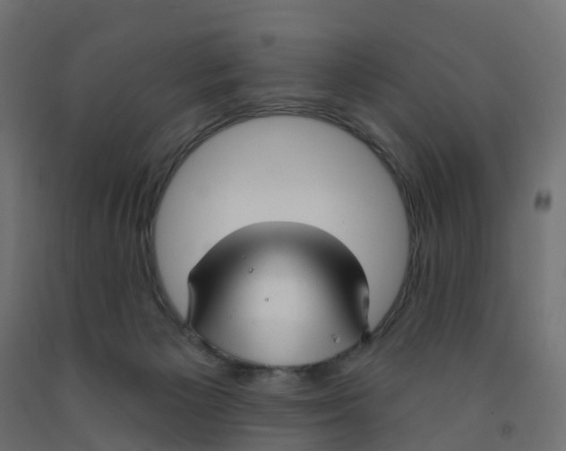 X0000091970125200710041057