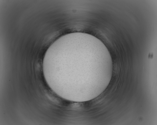 X0000091970126200710041057