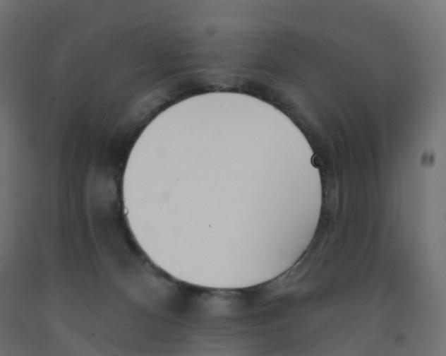 X0000091970128200710041057