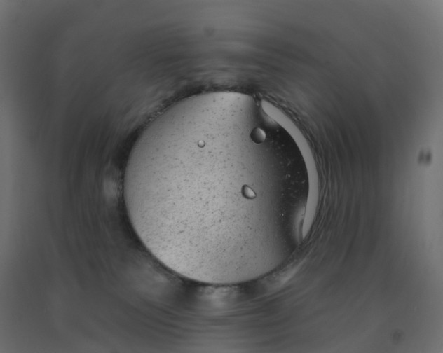 X0000091970135200710041057