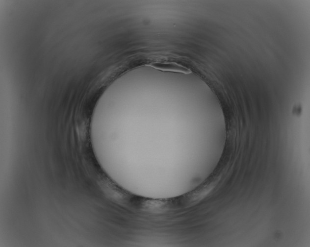 X0000091970139200710041057