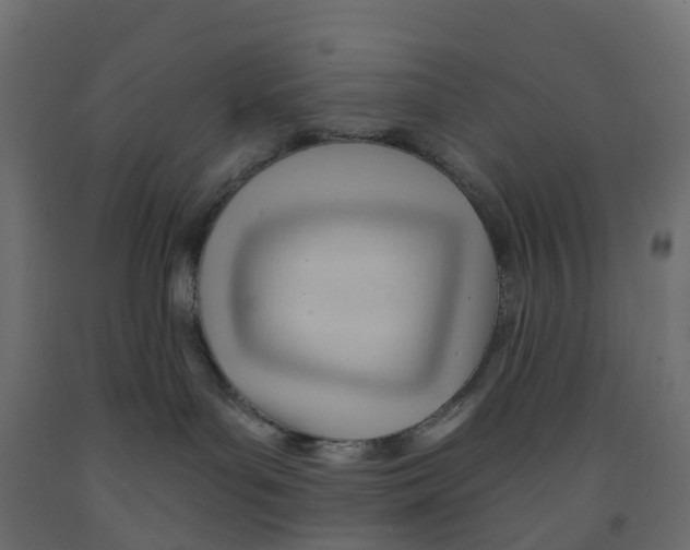 X0000091970143200710041057