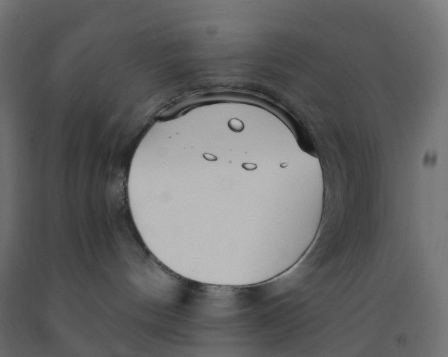 X0000091970144200710041057