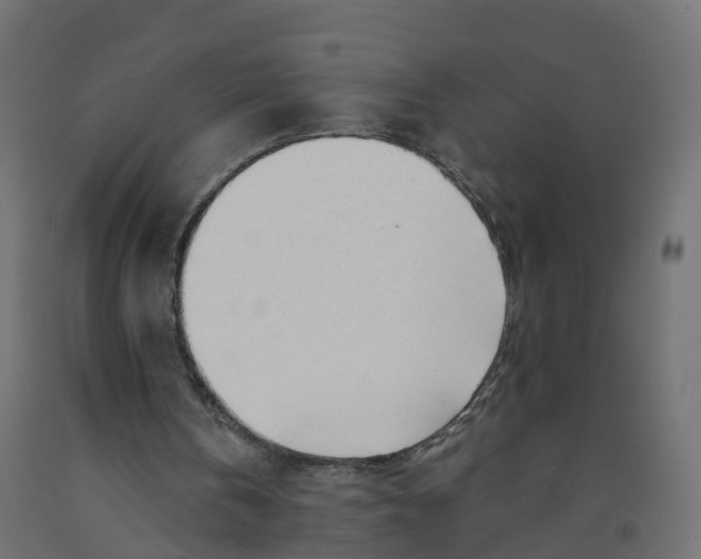 X0000091970146200710041056