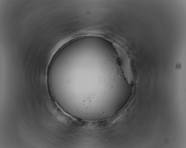 X0000091970148200710041056