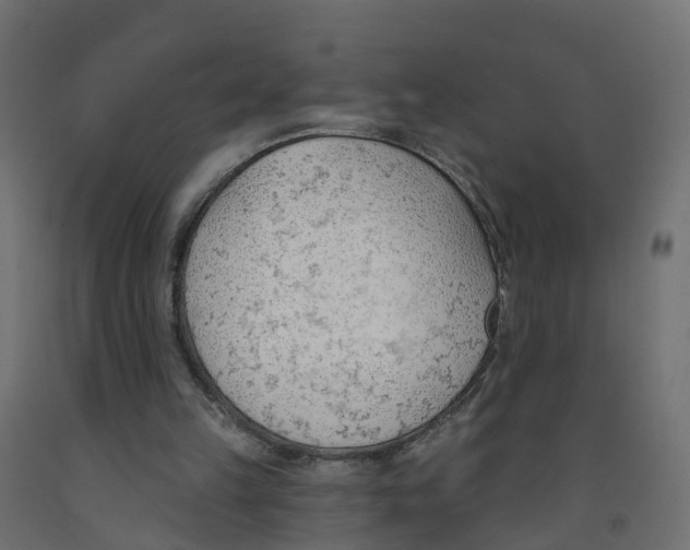 X0000091970149200710041056