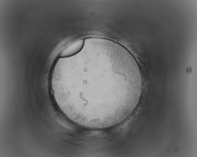 X0000091970151200710041056