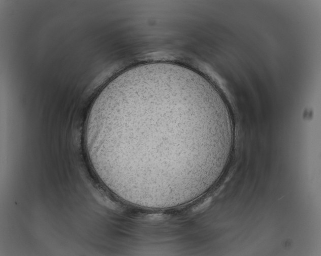 X0000091970153200710041056