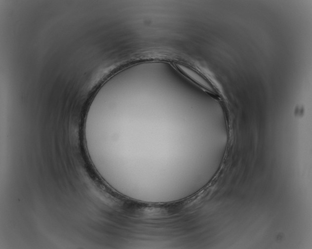 X0000091970154200710041056