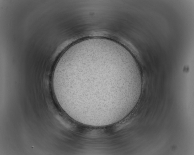 X0000091970155200710041056
