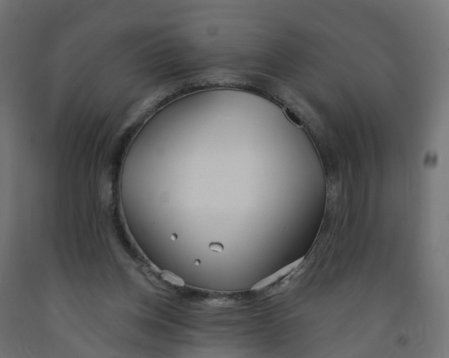 X0000091970158200710041056