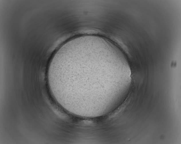 X0000091970159200710041056