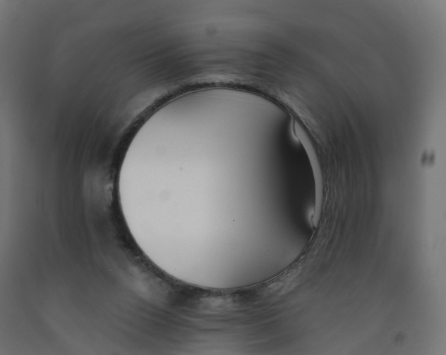 X0000091970160200710041056