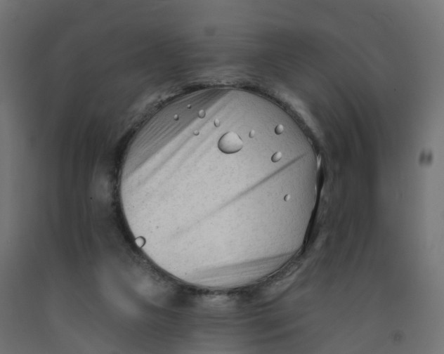 X0000091970161200710041056