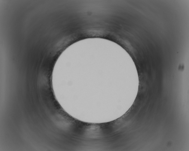 X0000091970162200710041056