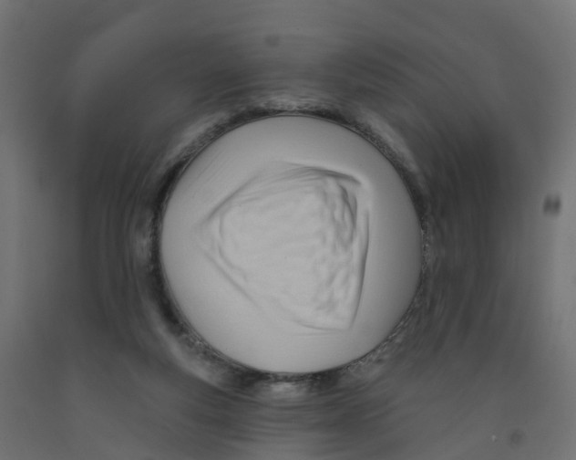 X0000091970163200710041056