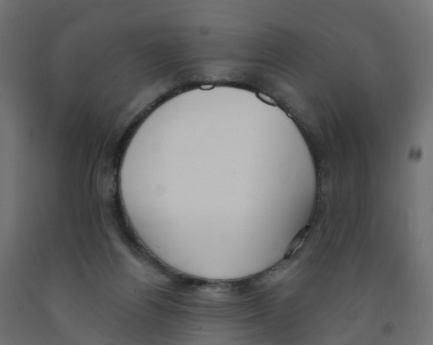 X0000091970164200710041056