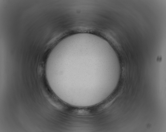 X0000091970165200710041056