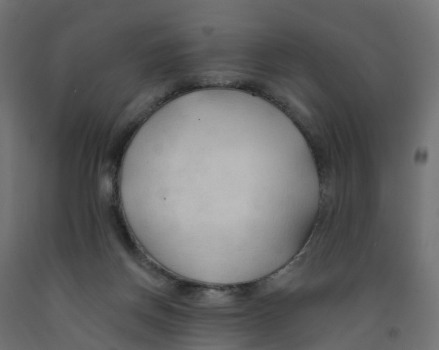 X0000091970166200710041056