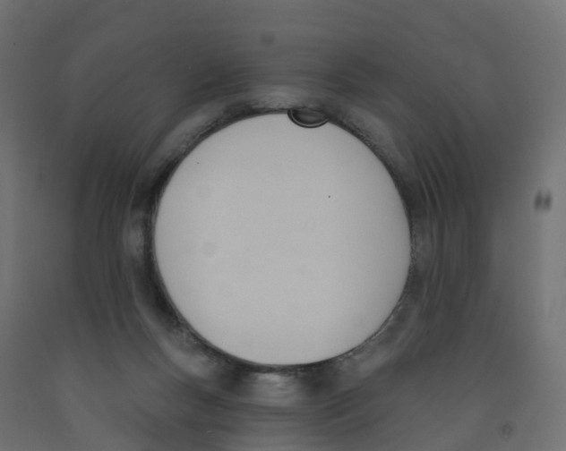 X0000091970167200710041056