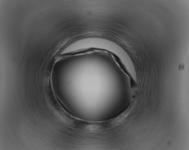 X0000091970168200710041056