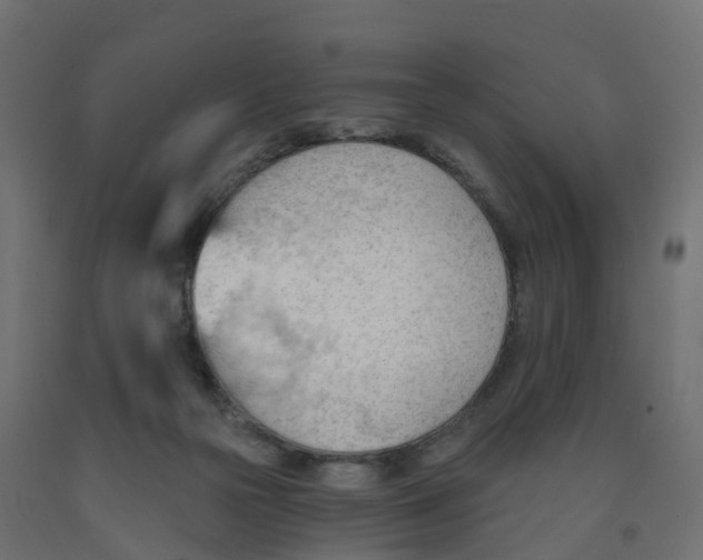 X0000091970169200710041056