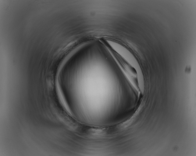 X0000091970170200710041056