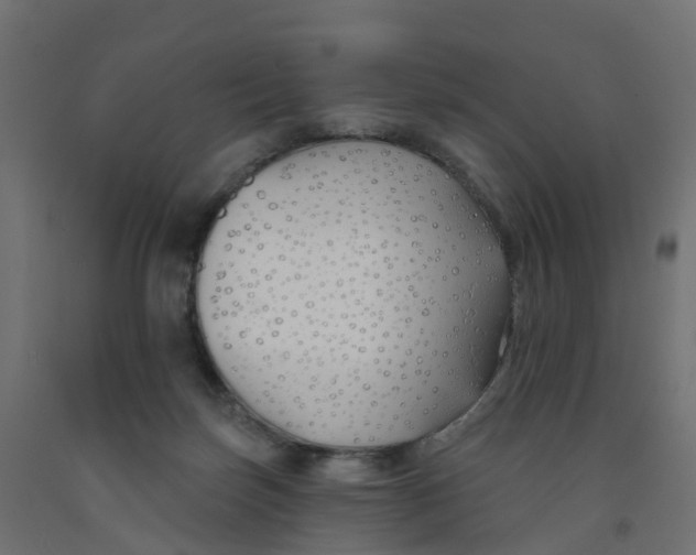 X0000091970171200710041056