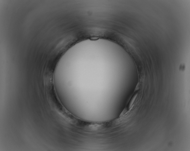 X0000091970172200710041056