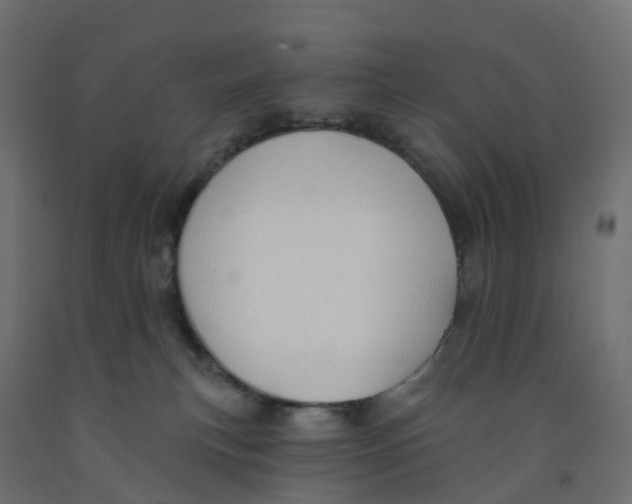 X0000091970183200710041057