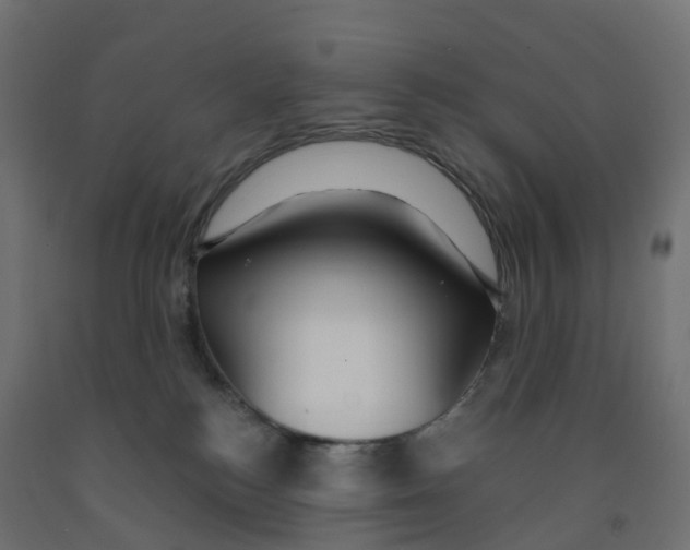 X0000091970184200710041057