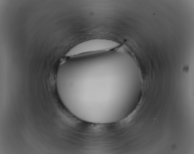 X0000091970186200710041057