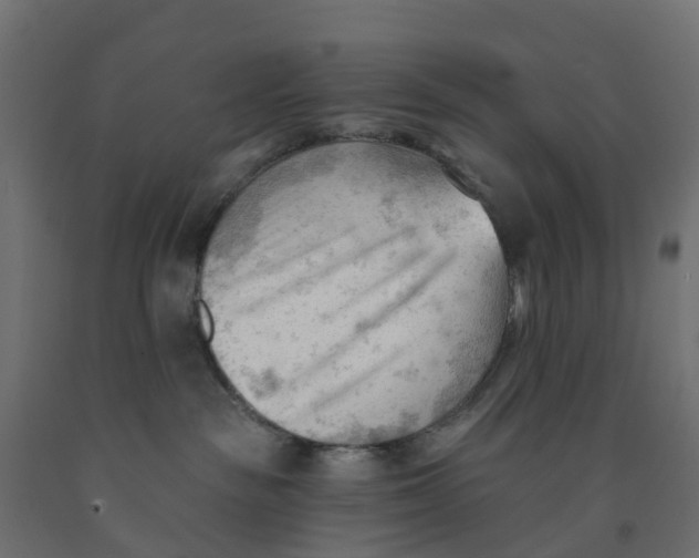 X0000091970189200710041057