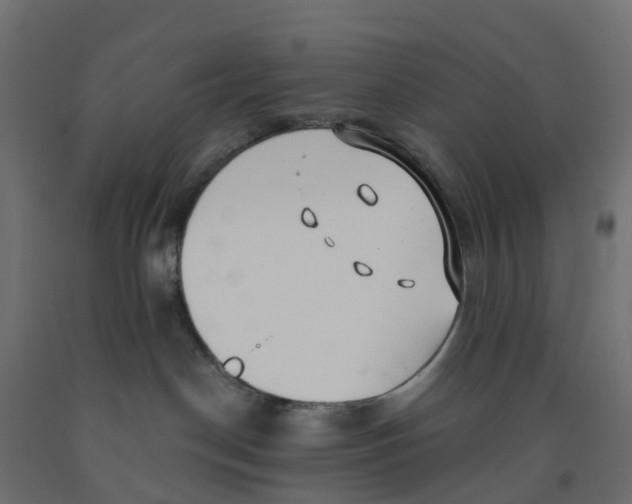 X0000091970190200710041057