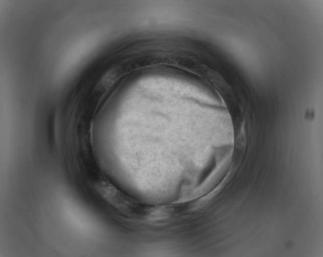 X0000091970191200710041057