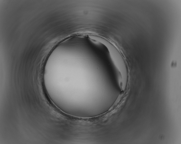 X0000091970193200710041056