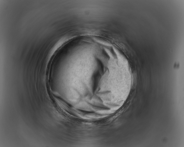 X0000091970195200710041056