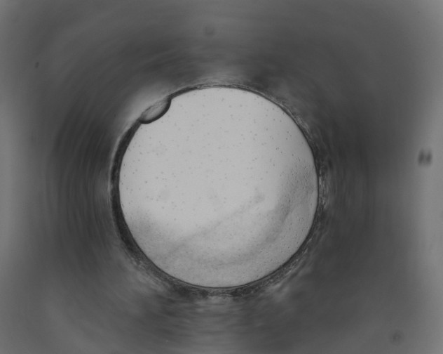 X0000091970196200710041056