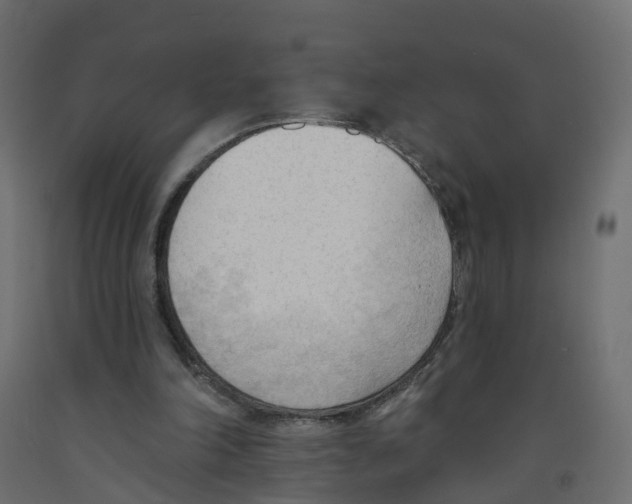 X0000091970198200710041056