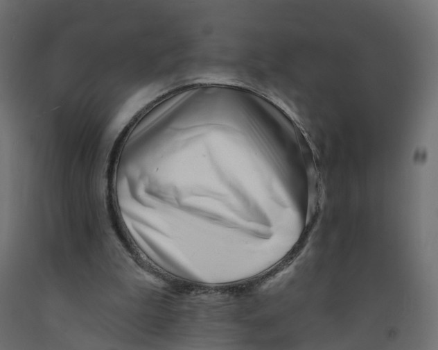 X0000091970199200710041056