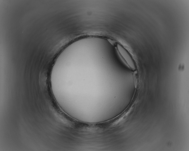 X0000091970201200710041056