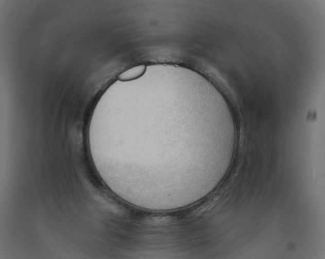 X0000091970202200710041056