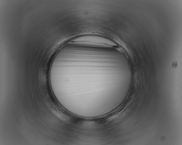 X0000091970203200710041056